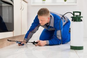 Naperville cockroach exterminator providing service to the Naperville area. 